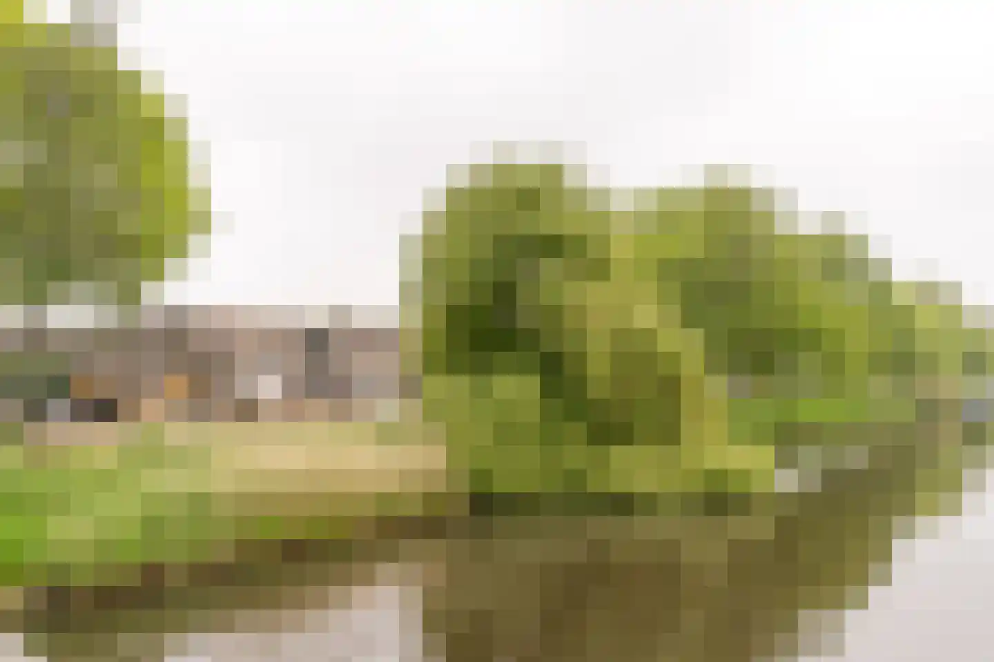 Tuinkersstraat 19 Almere thumbnail 33