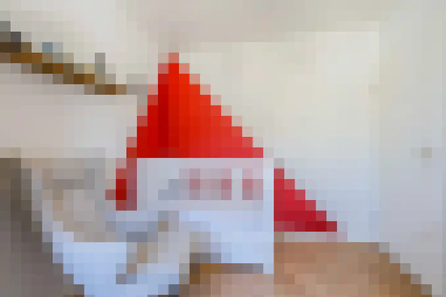 Tuinkersstraat 9 Voorhout thumbnail 32