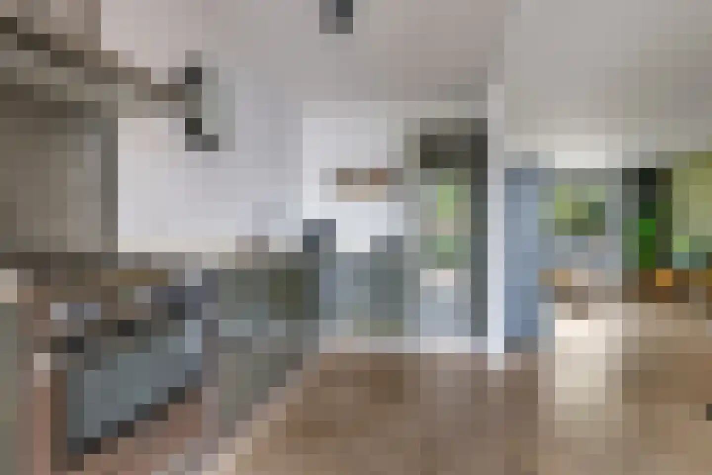 Tuinlaan 10 Bemmel thumbnail 27