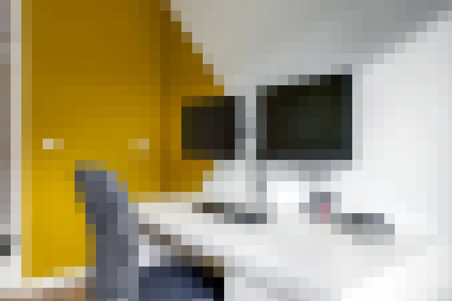Tuinlaan 10 Bemmel thumbnail 47