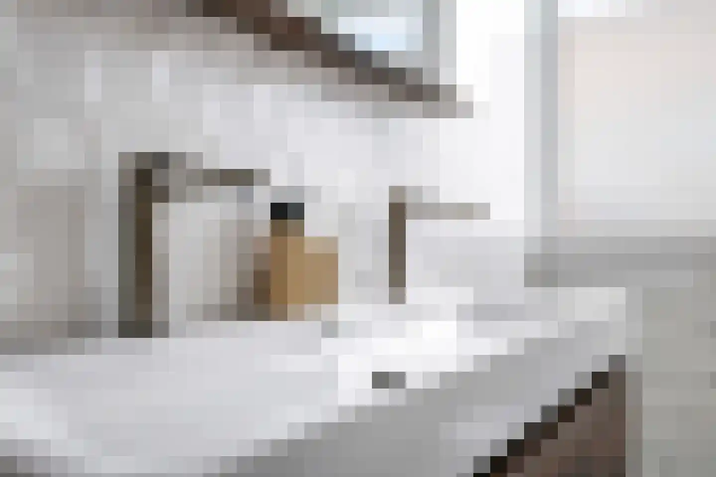 Tuinlaan 10 Bemmel thumbnail 51