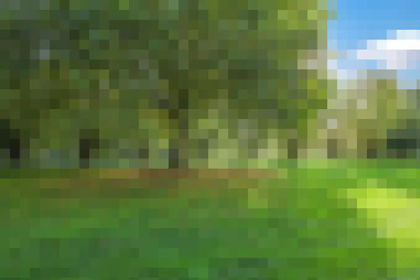 Tuinlaan 10 Bemmel thumbnail 65