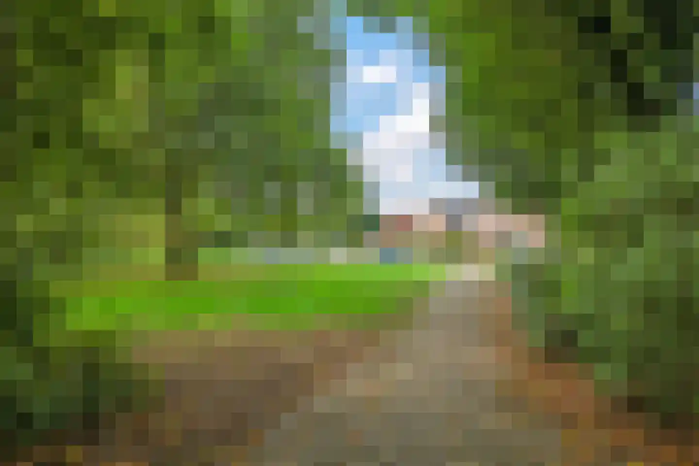 Tuinlaan 10 Bemmel thumbnail 68