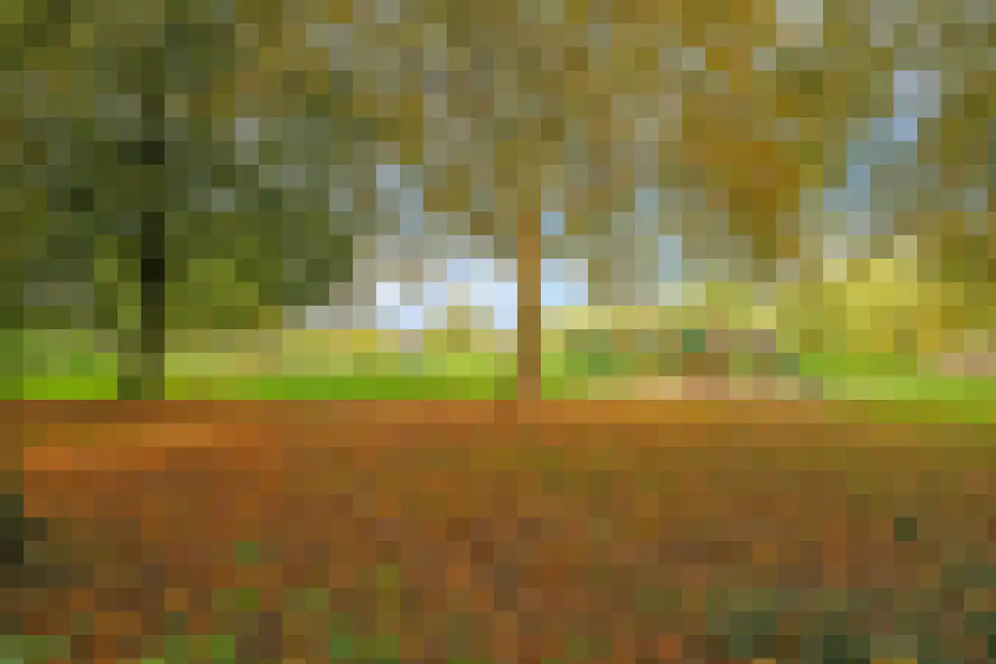 Tuinlaan 10 Bemmel thumbnail 69