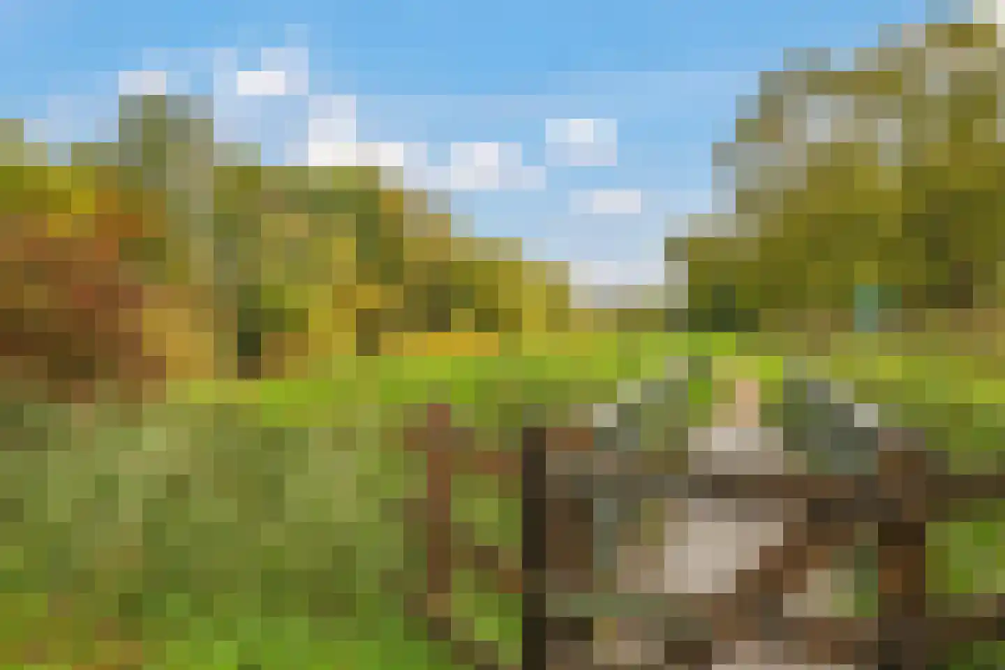 Tuinlaan 10 Bemmel thumbnail 70