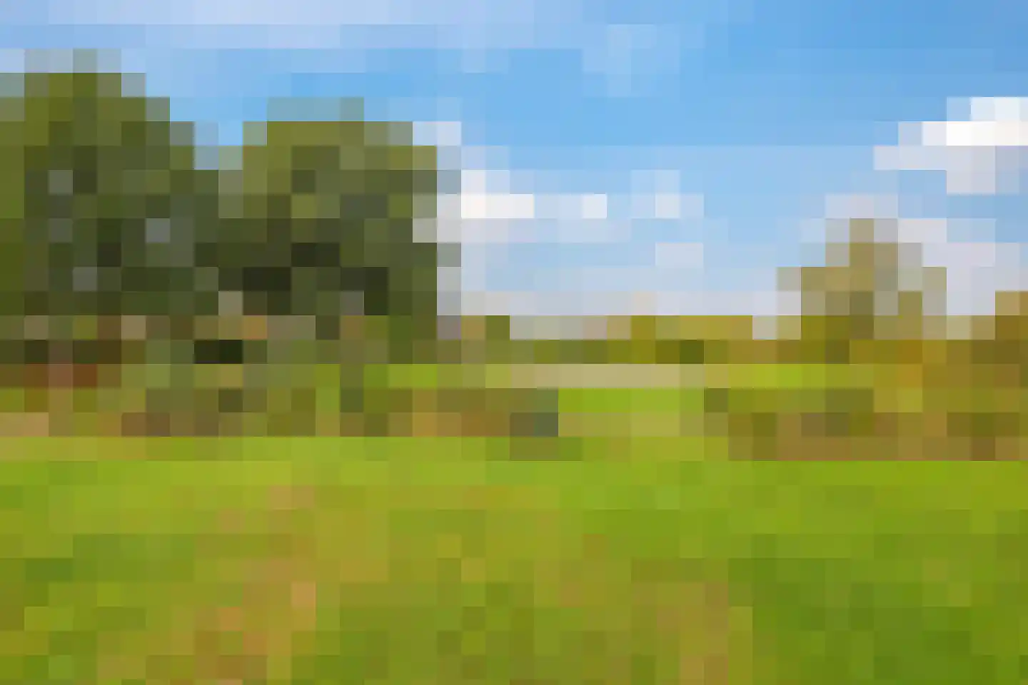Tuinlaan 10 Bemmel thumbnail 71