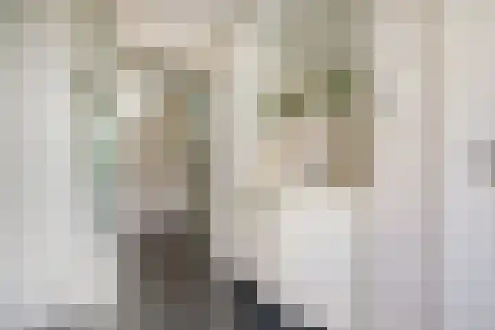 Tuinlaan 101 Pernis Rotterdam thumbnail 17