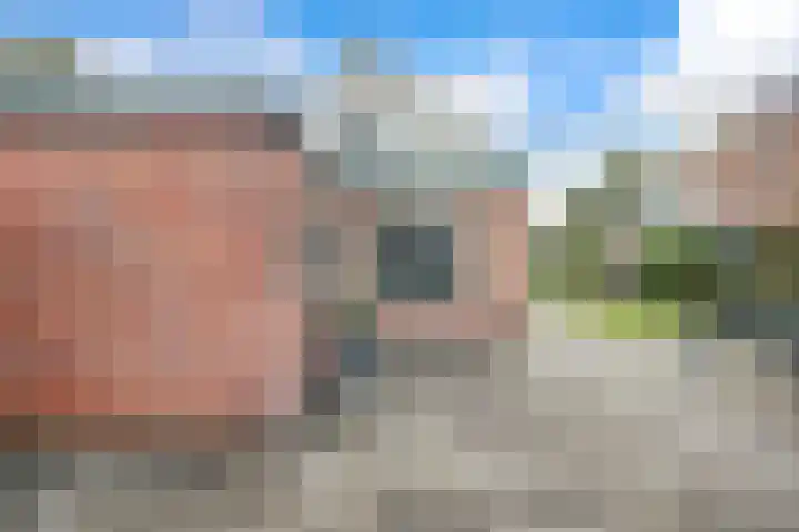 Tuinlaan 101 Pernis Rotterdam thumbnail 29