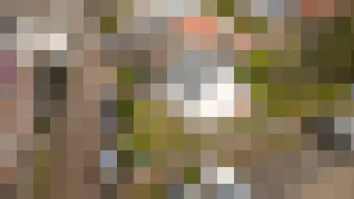 Tuinlaan 101 Pernis Rotterdam thumbnail 30