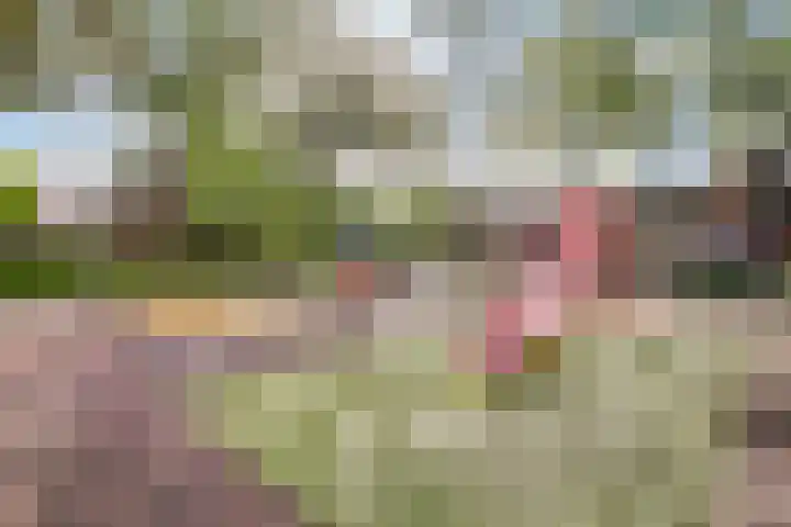 Tuinlaan 101 Pernis Rotterdam thumbnail 31