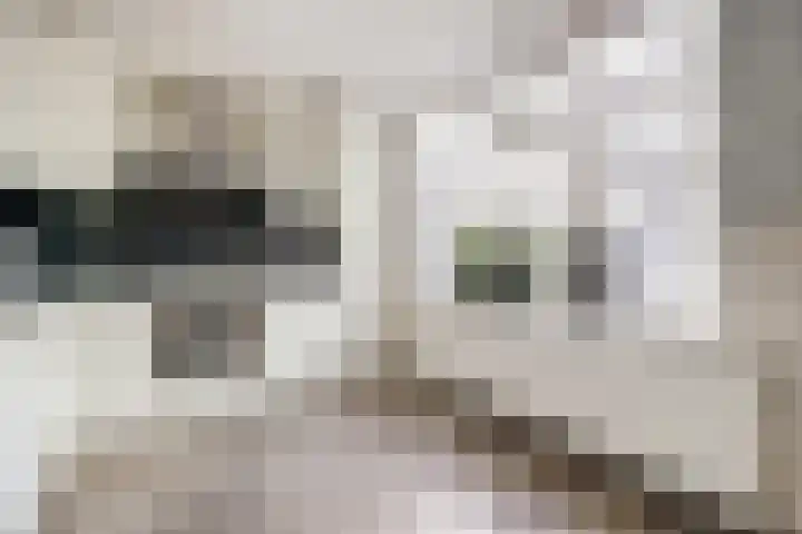 Tuinlaan 101 Pernis Rotterdam thumbnail 7