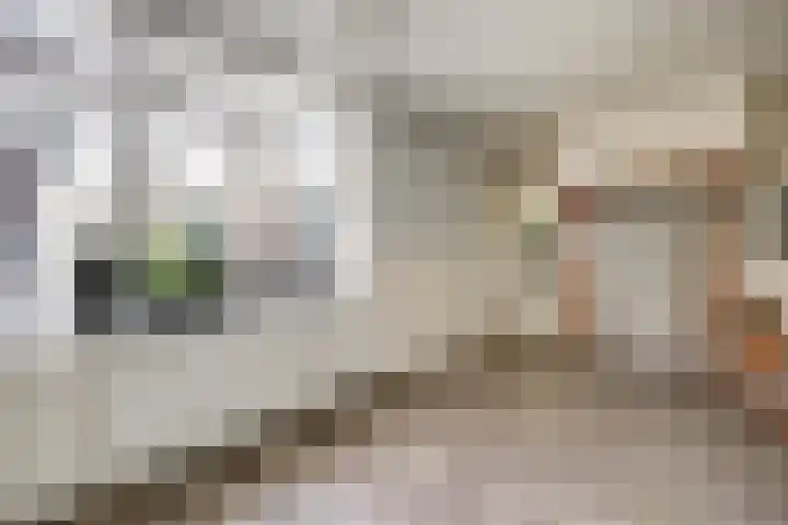 Tuinlaan 101 Pernis Rotterdam thumbnail 8