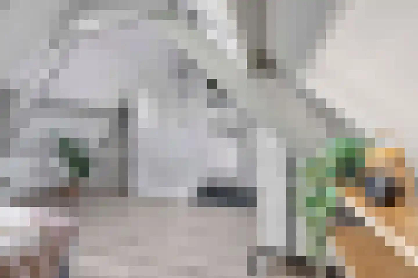 Tuinlaan 109 Pernis Rotterdam thumbnail 14