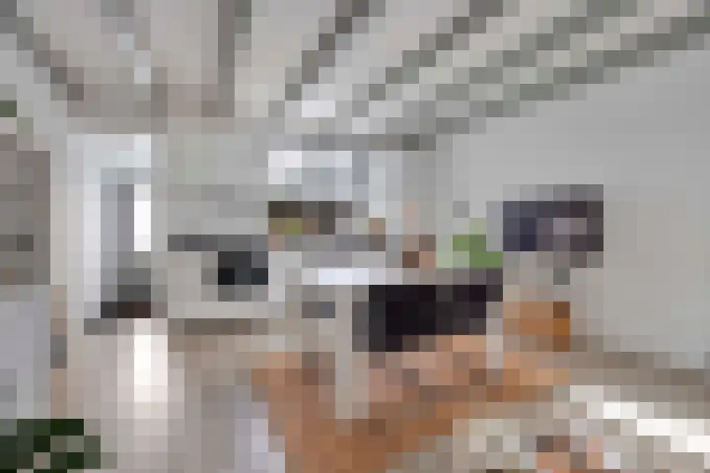 Tuinlaan 109 Pernis Rotterdam thumbnail 4