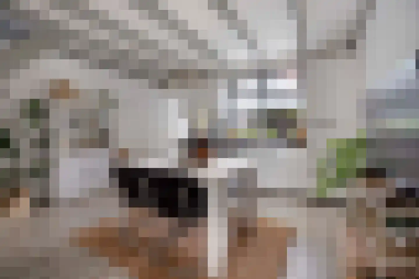Tuinlaan 109 Pernis Rotterdam thumbnail 5