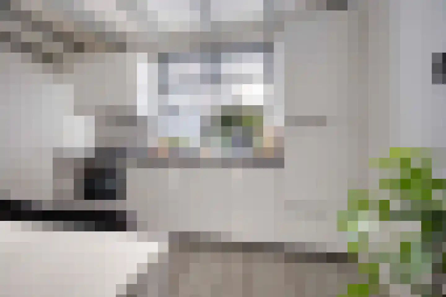 Tuinlaan 109 Pernis Rotterdam thumbnail 7
