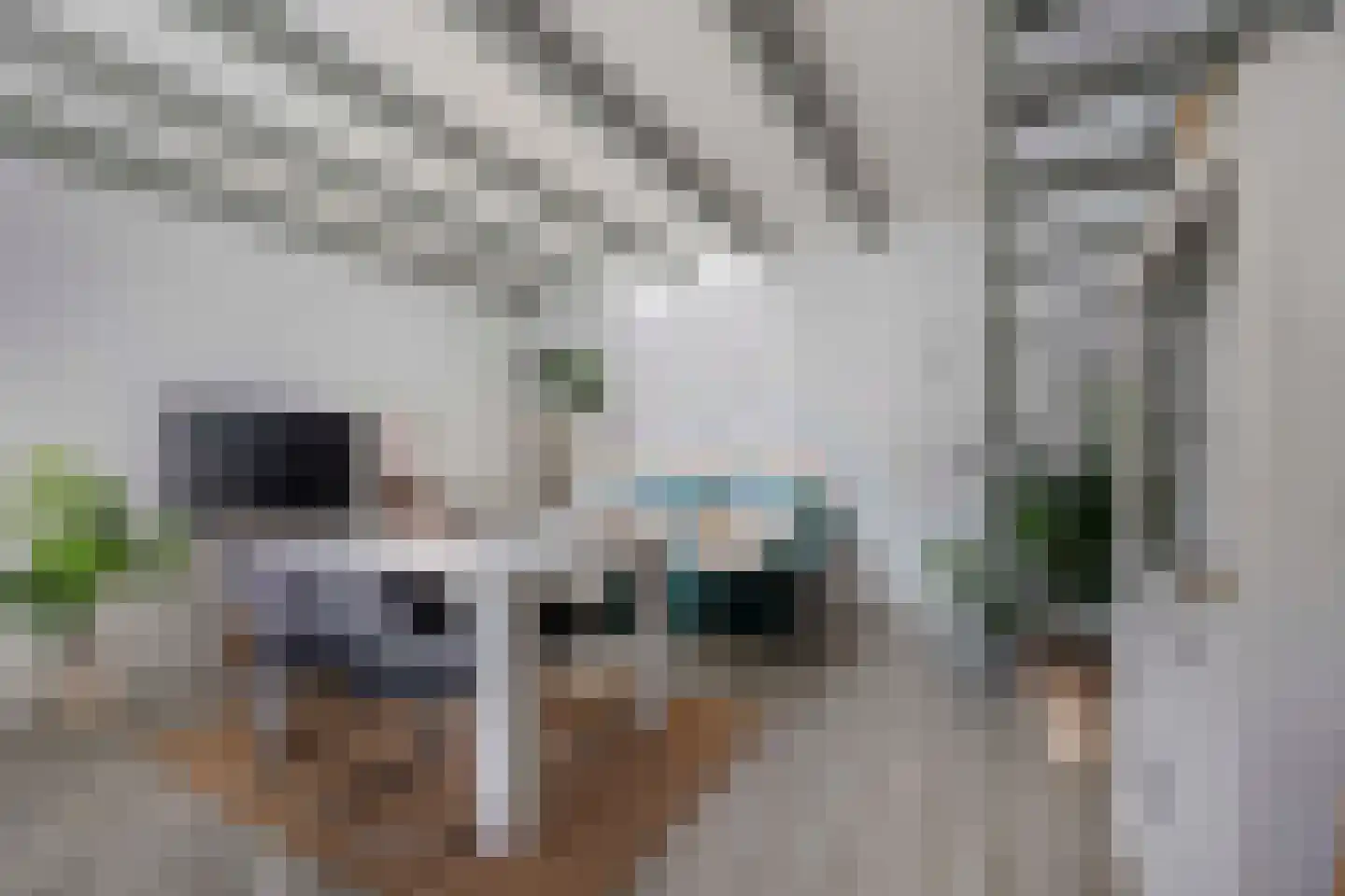 Tuinlaan 109 Pernis Rotterdam thumbnail 8