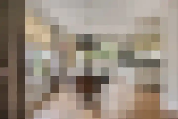 Tuinlaan 113 Borne thumbnail 10