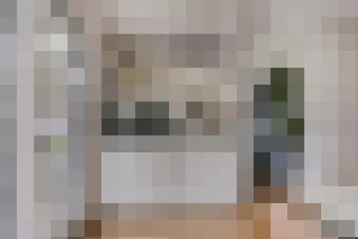 Tuinlaan 113 Borne thumbnail 11