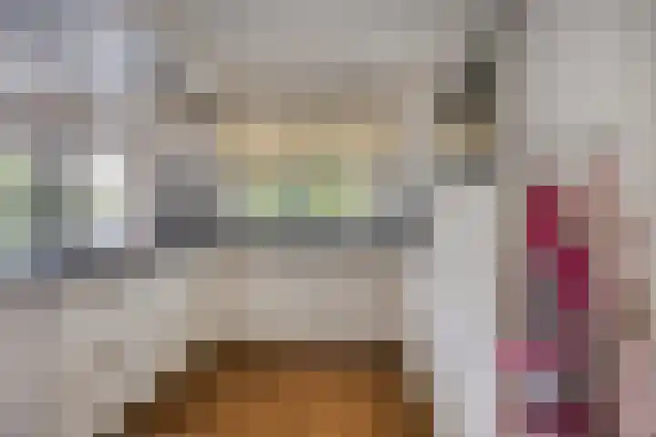 Tuinlaan 113 Borne thumbnail 12