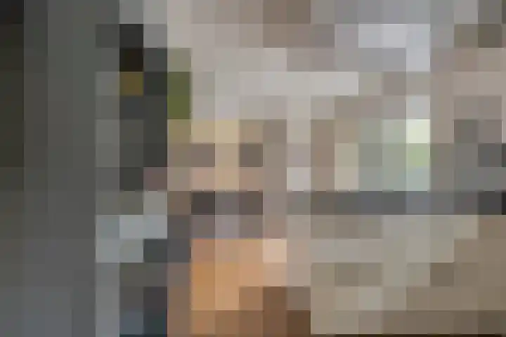 Tuinlaan 113 Borne thumbnail 14