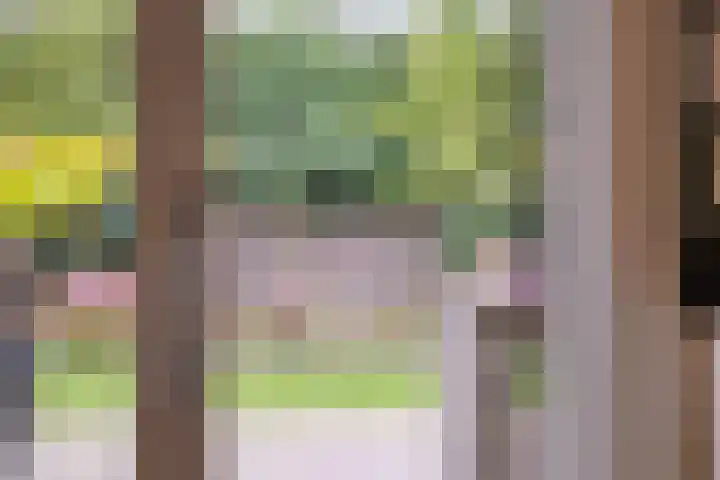 Tuinlaan 113 Borne thumbnail 15