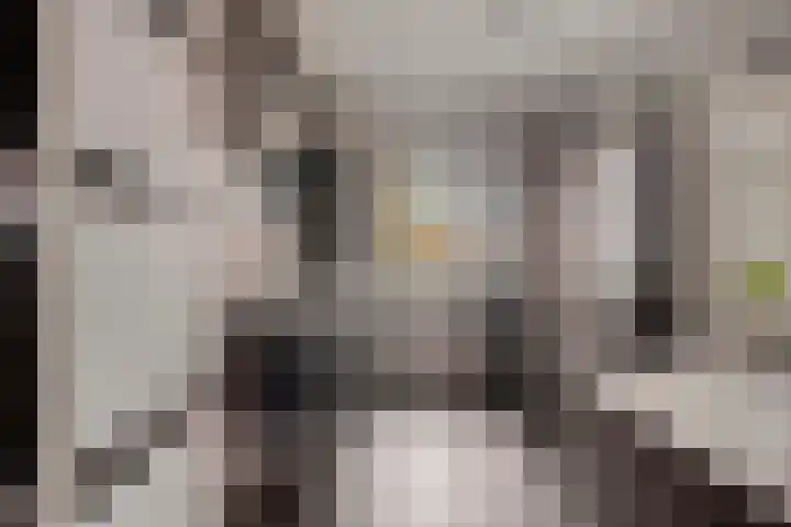 Tuinlaan 113 Borne thumbnail 20