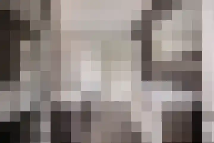 Tuinlaan 113 Borne thumbnail 21