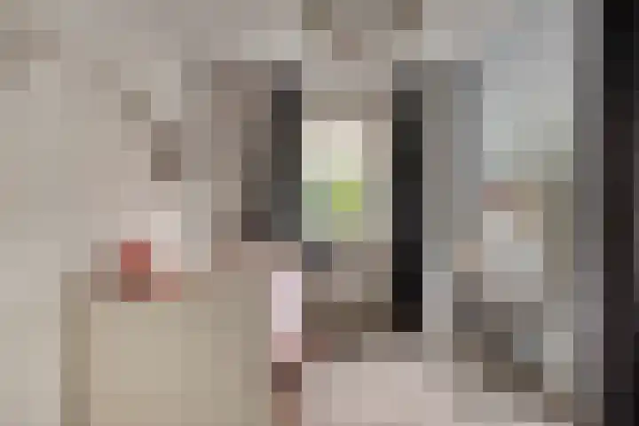 Tuinlaan 113 Borne thumbnail 23