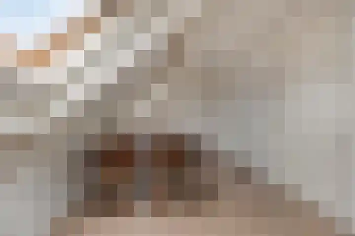 Tuinlaan 113 Borne thumbnail 26