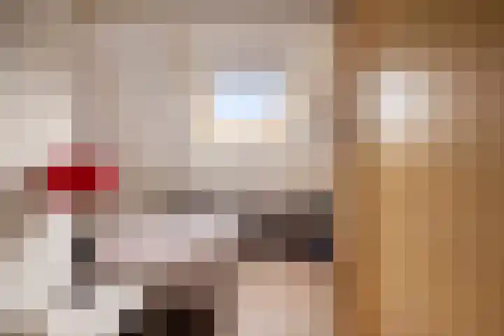 Tuinlaan 113 Borne thumbnail 27
