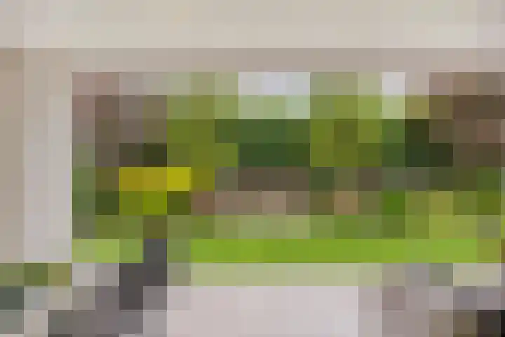 Tuinlaan 113 Borne thumbnail 28