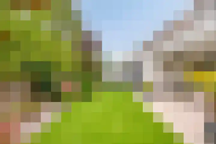 Tuinlaan 113 Borne thumbnail 29