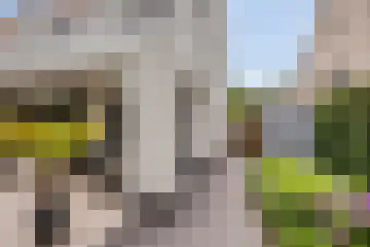 Tuinlaan 113 Borne thumbnail 30