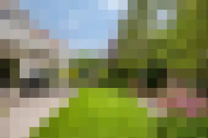 Tuinlaan 113 Borne thumbnail 32