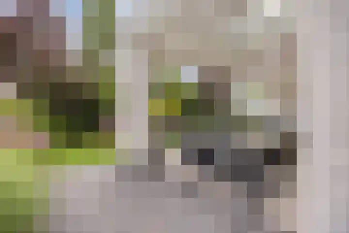 Tuinlaan 113 Borne thumbnail 34