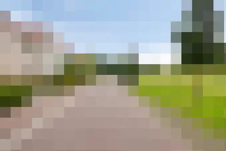 Tuinlaan 113 Borne thumbnail 37