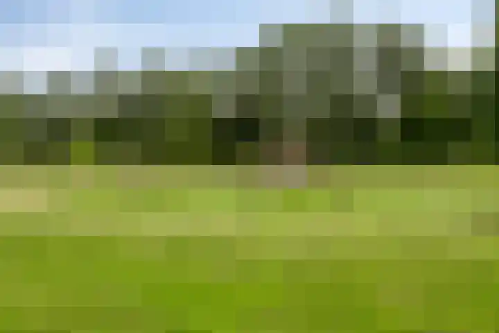 Tuinlaan 113 Borne thumbnail 38
