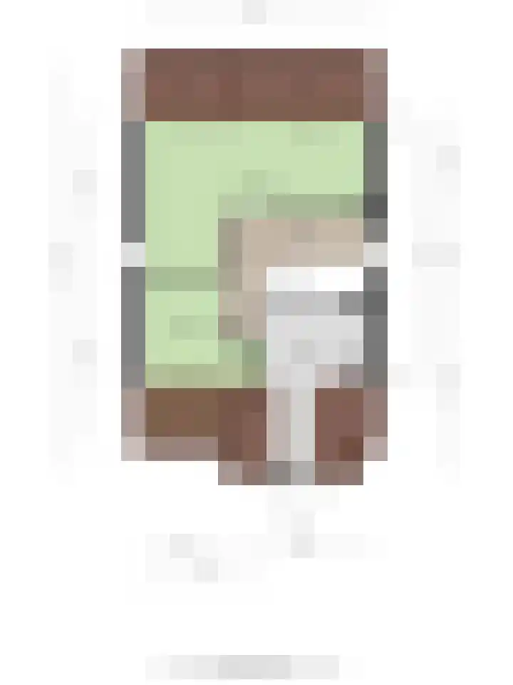Tuinlaan 113 Borne thumbnail 41