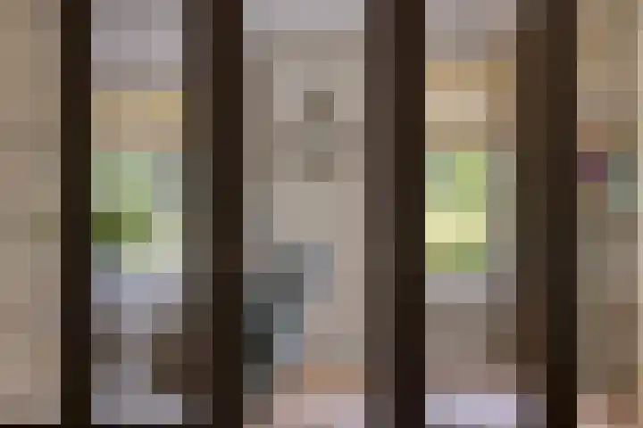 Tuinlaan 113 Borne thumbnail 8