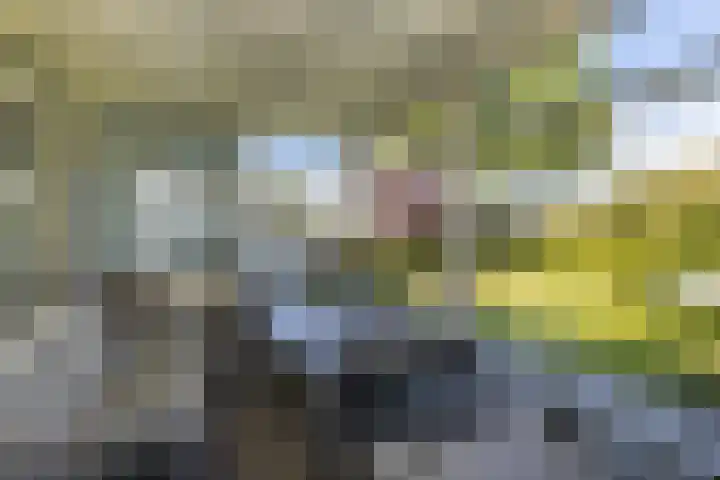 Tuinlaan 12 Schiedam thumbnail 26