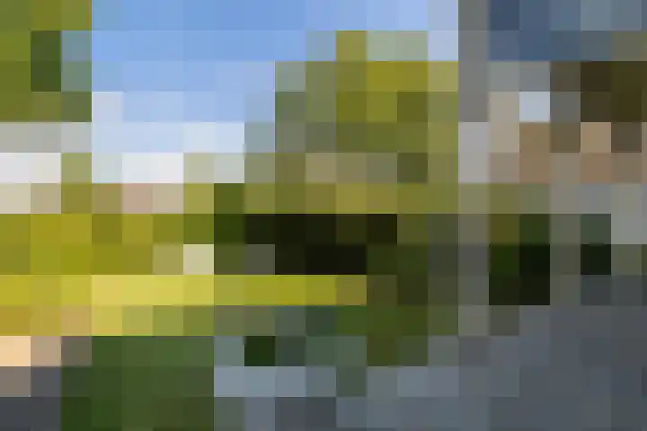 Tuinlaan 12 Schiedam thumbnail 27