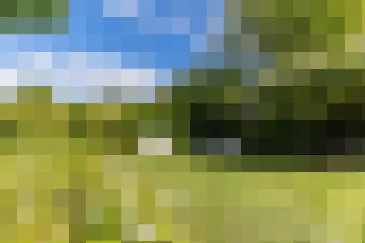 Tuinlaan 12 Schiedam thumbnail 28