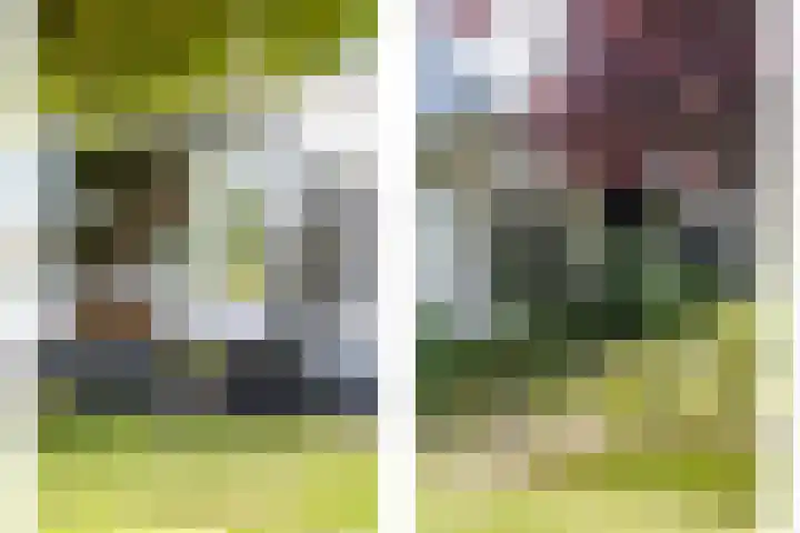Tuinlaan 12 Schiedam thumbnail 29