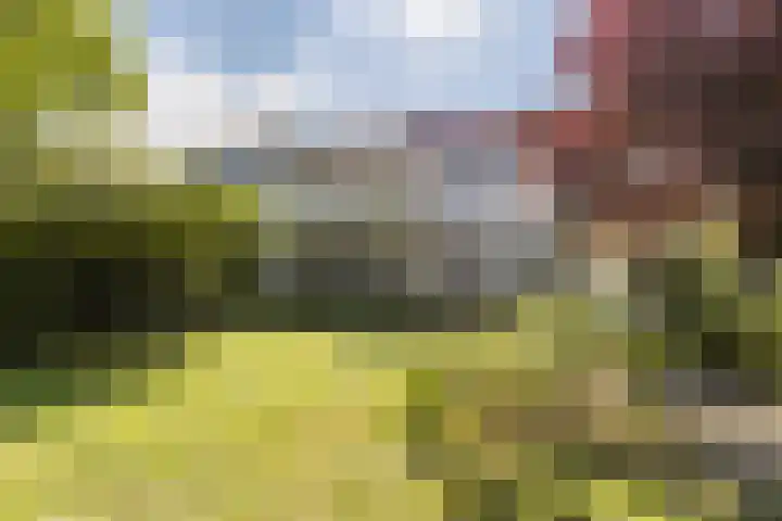 Tuinlaan 12 Schiedam thumbnail 30