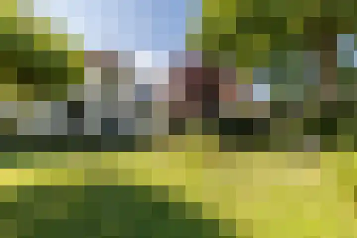 Tuinlaan 12 Schiedam thumbnail 32