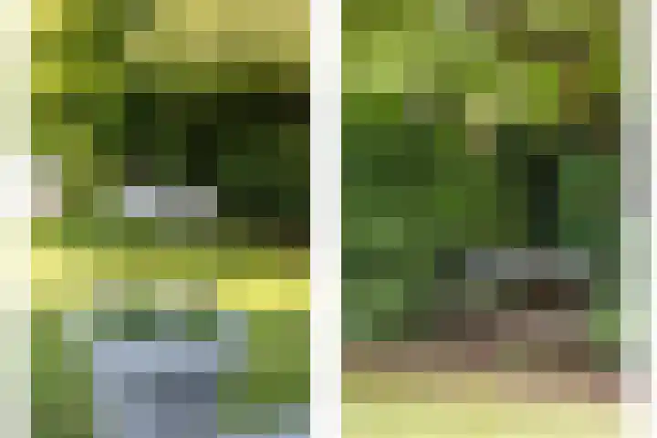 Tuinlaan 12 Schiedam thumbnail 33