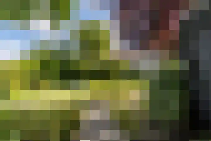 Tuinlaan 12 Schiedam thumbnail 34
