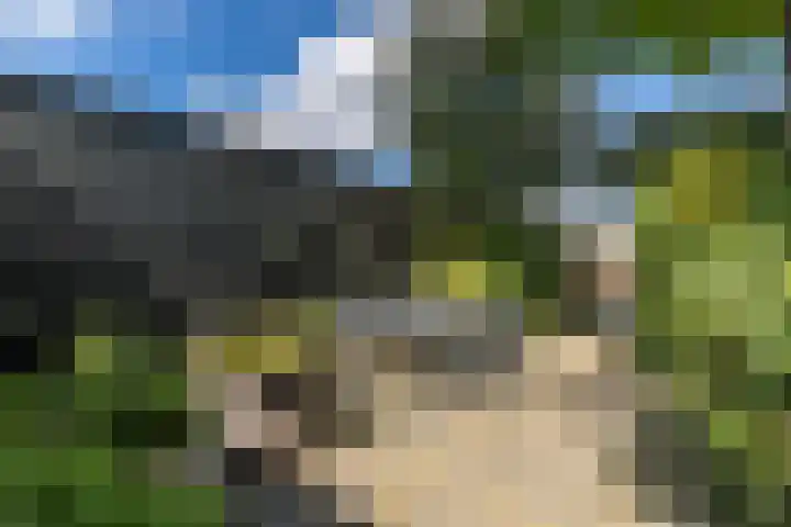 Tuinlaan 12 Schiedam thumbnail 39