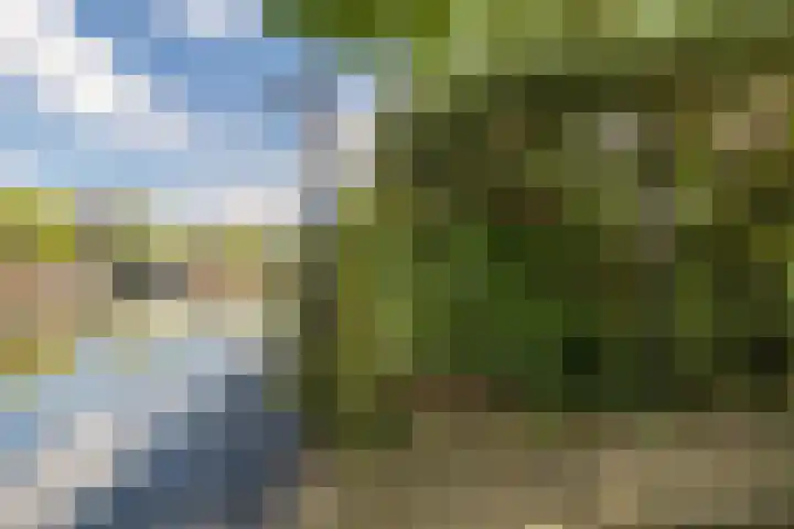 Tuinlaan 12 Schiedam thumbnail 40